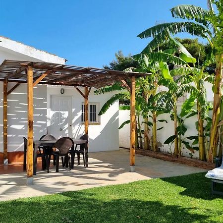 Apartamento Privado Con Jardin, Piscina Elevada Y Bbq チクラナ・デ・ラ・フロンテーラ エクステリア 写真
