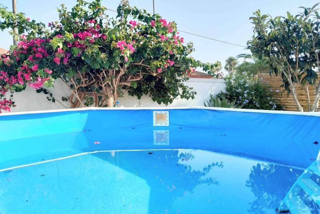 Apartamento Privado Con Jardin, Piscina Elevada Y Bbq チクラナ・デ・ラ・フロンテーラ エクステリア 写真